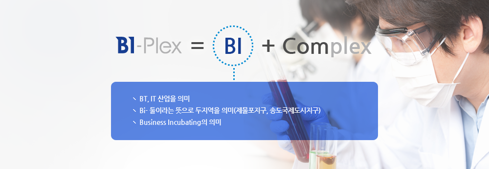 BI-Plex = BI[BT,IT 산업을 의미 / Bi-둘이라는 뜻으로 두지역을 의미(제물포지구,송도국제도시지구) / Business Incubating의 의미] + Complex